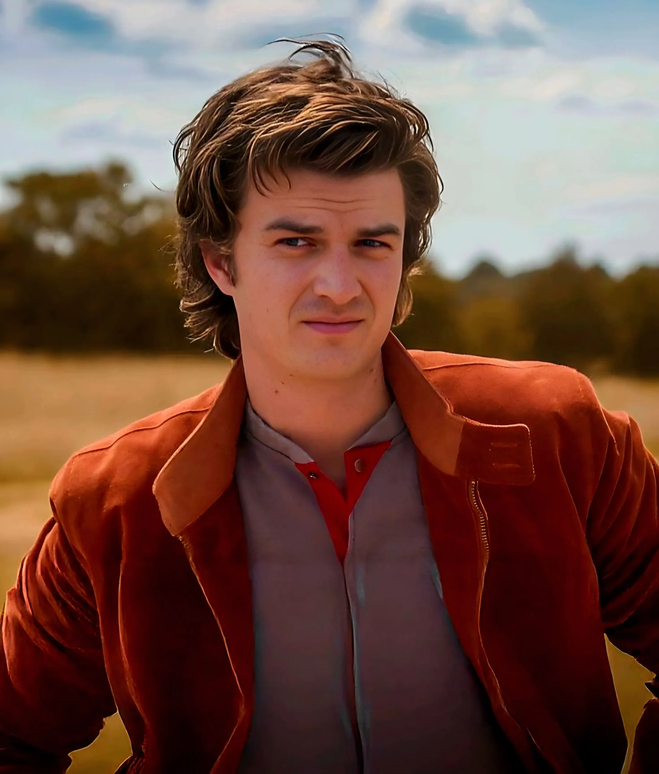 Steve Harrington hairstyle