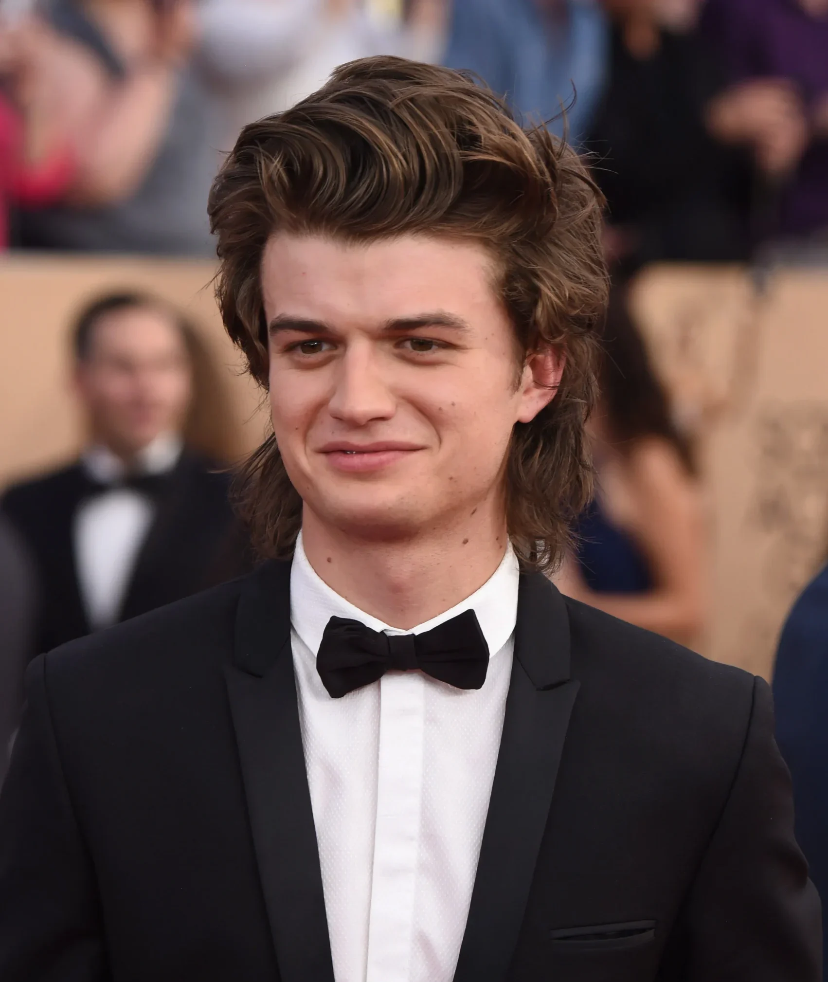 Steve Harrington hairstyle