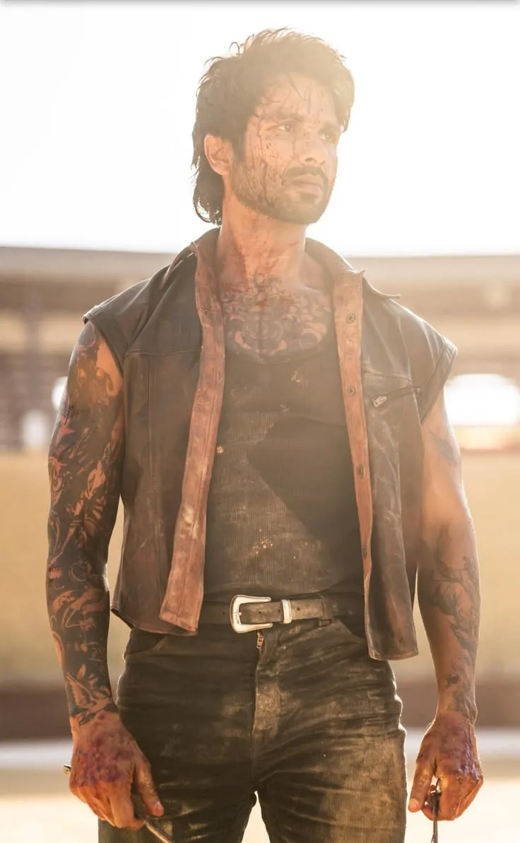 Shahid Kapoor hairstyle
