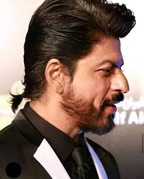 Shah Rukh Khan hairstyle